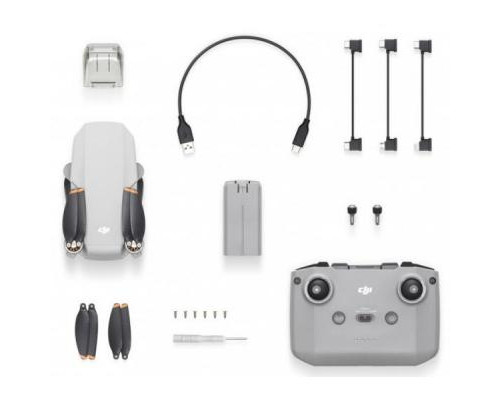 Квадрокоптер DJI MINI 2 (CP.MA.00000312.01)