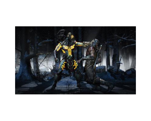 Игра Sony Mortal Kombat X (Хиты PlayStation)  (PSIV733)