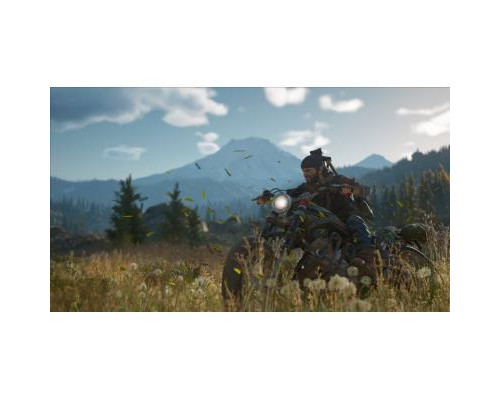 Игра PC Days Gone (19146352)