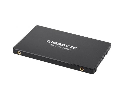Накопитель SSD 2.5" 256GB Gigabyte (GP-GSTFS31256GTND)