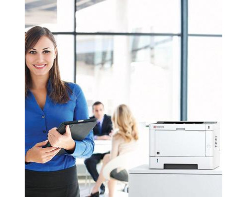 Лазерный принтер Kyocera P2235DN (1102RV3NL0)