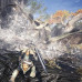 Игра PC MONSTER HUNTER: WORLD