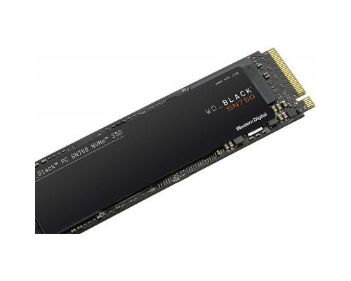 Накопитель SSD M.2 2280 1TB WD (WDS100T3X0C)