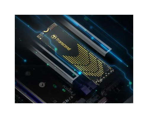 Накопитель SSD M.2 2280 1TB Transcend (TS1TMTE240S)