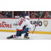 Игра SONY NHL21  (1068542)