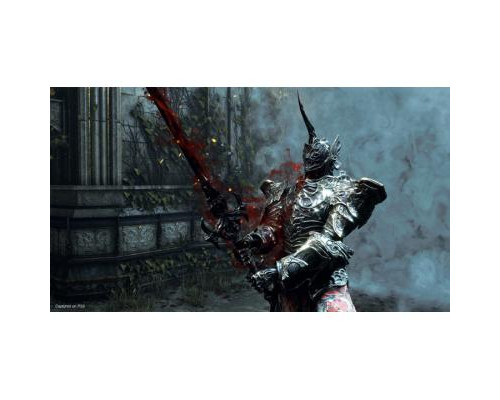 Игра SONY Demons Souls Remake  (9812623)