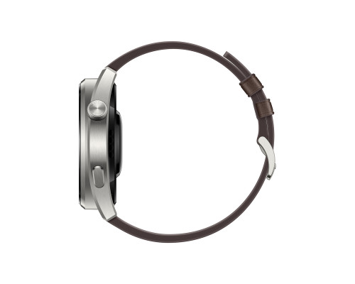 Смарт-часы Huawei Watch 3 Pro Classic Titanium (55026781)