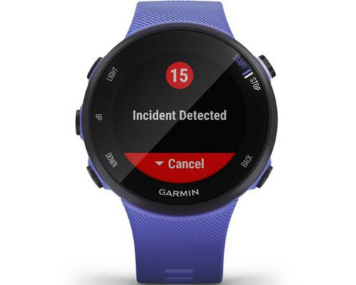 Смарт-часы Garmin Forerunner 45, Small, Iris (010-02156-11)