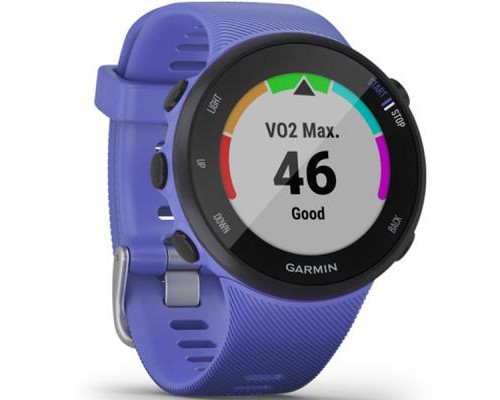 Смарт-часы Garmin Forerunner 45, Small, Iris (010-02156-11)