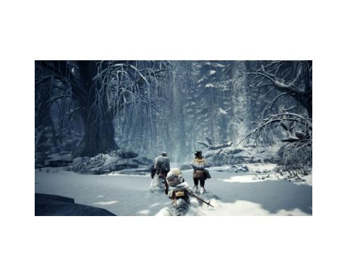 Игра PC Monster Hunter: World. Iceborne - Master Edition (18639599)