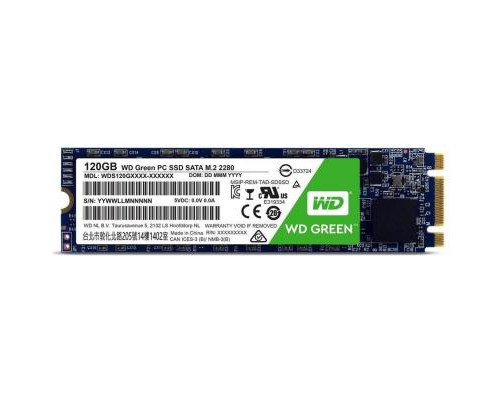 Накопитель SSD M.2 2280 120GB WD (WDS120G2G0B)