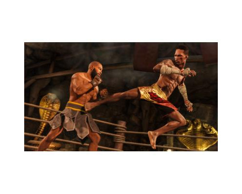Игра SONY EA SPORTS UFC 4  (1055619)