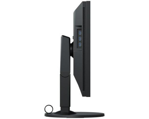 Монитор Eizo CS2410-BK
