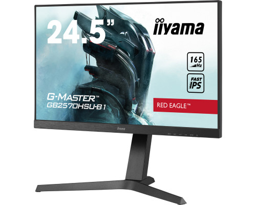 Монитор iiyama GB2570HSU-B