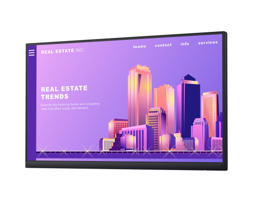 Монитор Dell P2422HWOS (210-AZYY)