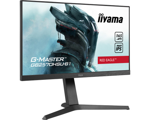 Монитор iiyama GB2570HSU-B
