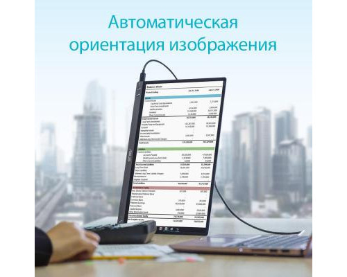 Монитор ASUS MB16AC