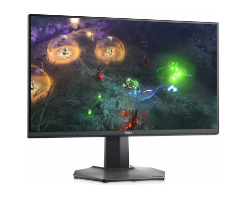 Монитор Dell S2522HG (210-BBBI)