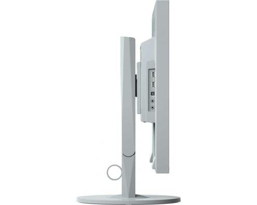 Монитор Eizo EV2430-GY