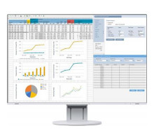 Монитор EIZO EV2457-WT