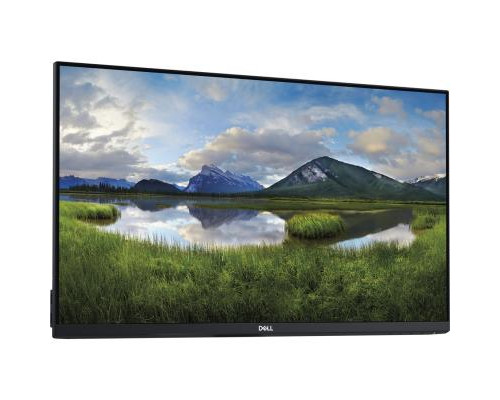 Монитор Dell P2419HCW (210-ATUY)