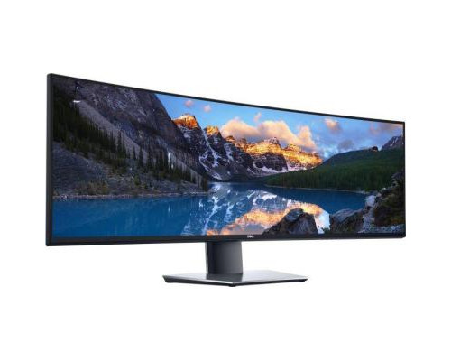 Монитор Dell U4919DW (210-ARGK)